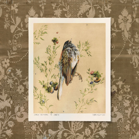 JUNCO RETURN TO EARTH - Signed Print