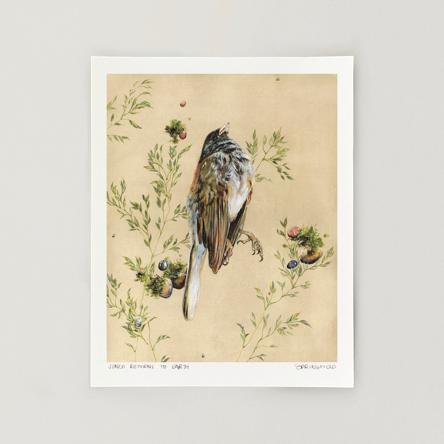 JUNCO RETURN TO EARTH - Signed Print