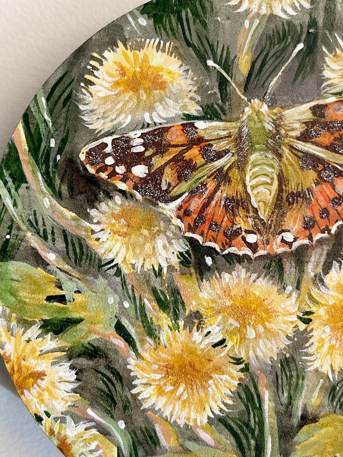 “Painted Lady”